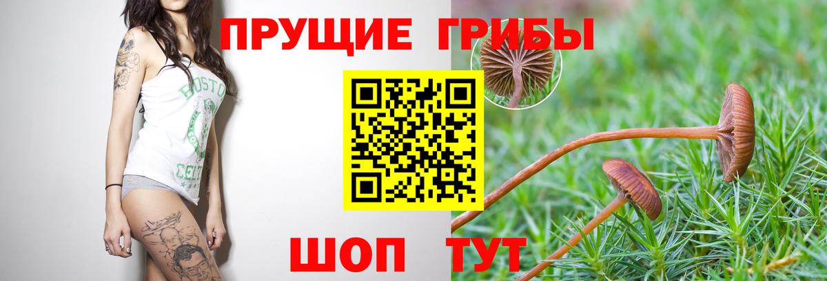 Балашиха  Галлюциногенные грибы мицелий  Вход с VPN 