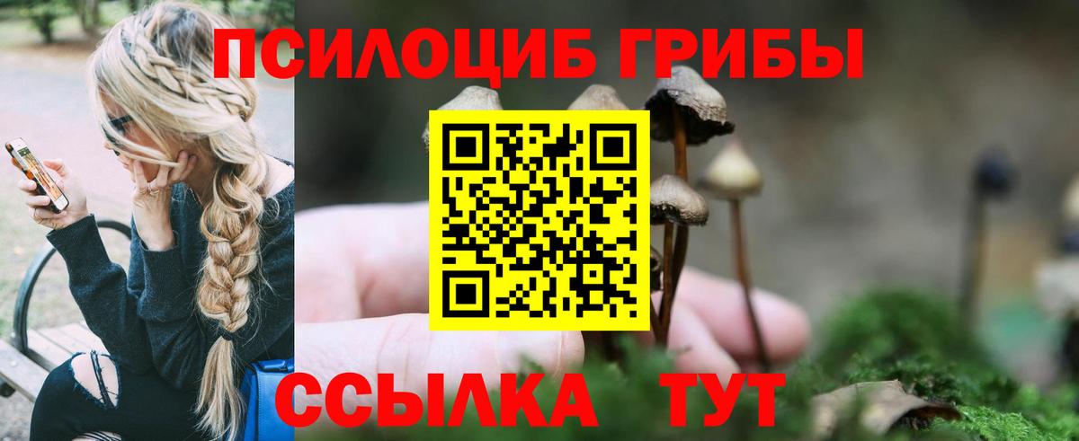 Галлюциногенные грибы Magic Shrooms Балашиха